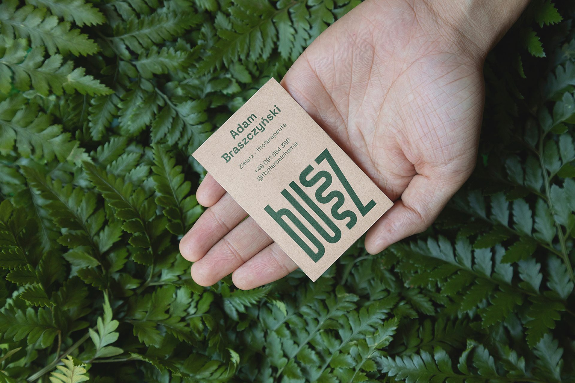 projekt logotypu