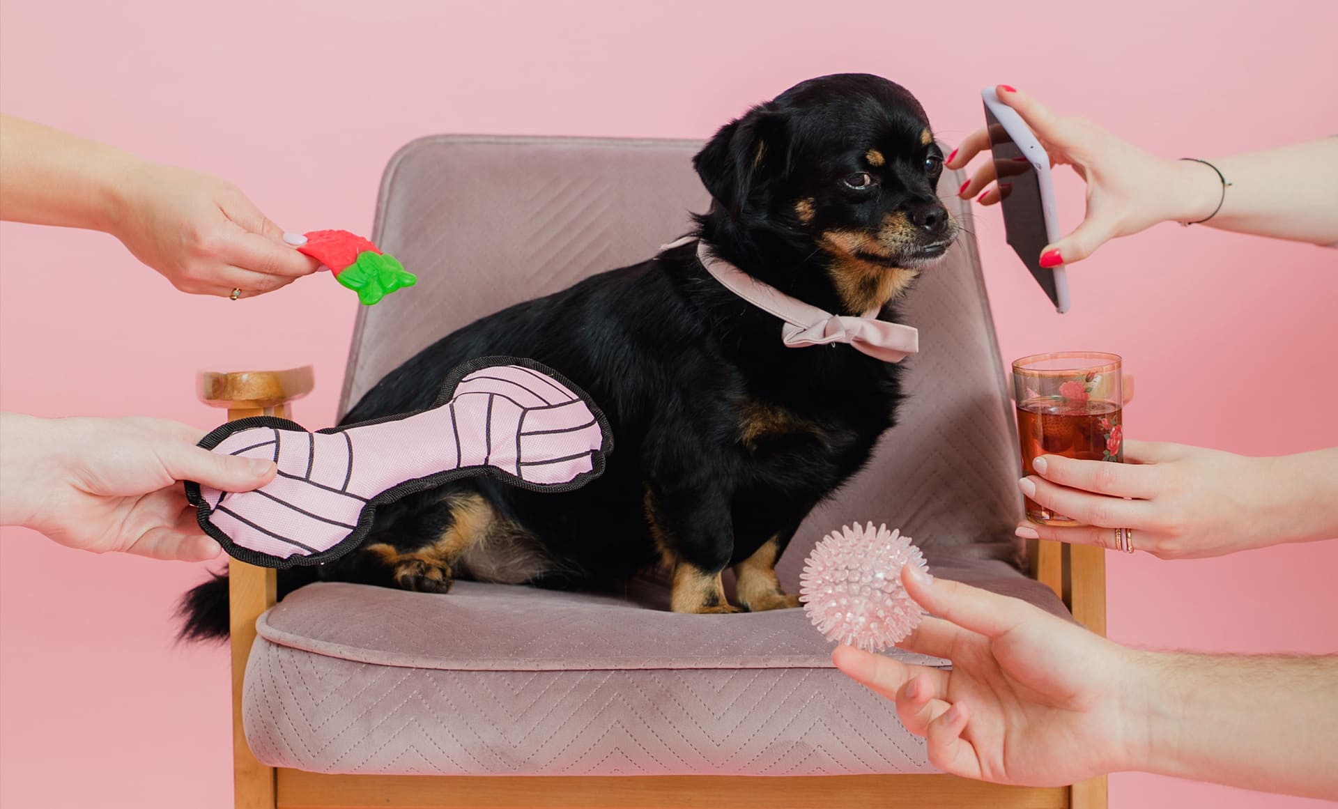 Agencja reklamowa z nosem do reklamy