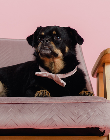 Kompot Studio - wania